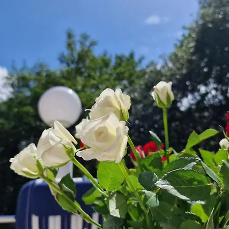 Daire Haus-hever-whg-04 *